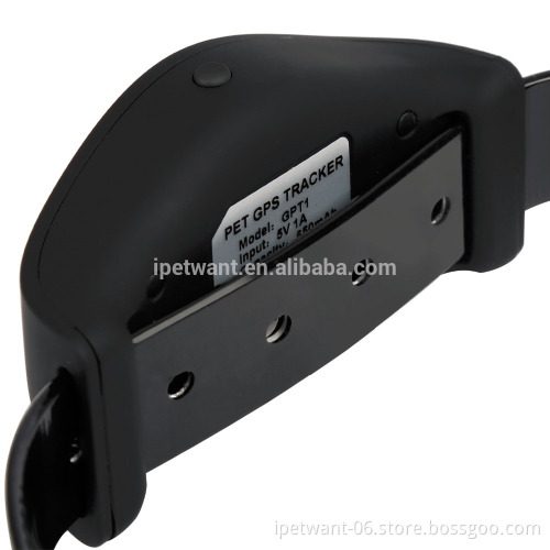 2016 new gms gps tracker pet collar with pet training collar